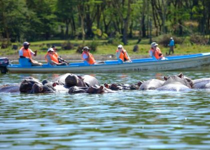 Boat ride in Lake Naivasha